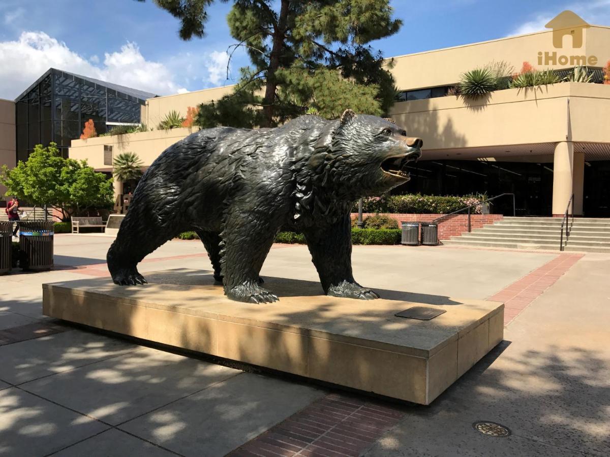 "Resort Style Amenities Walk To Ucla" W Pool & Parking B2 Лос-Анджелес Экстерьер фото